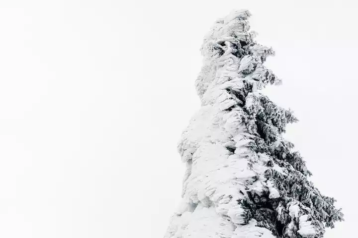 有价值的经历很多,有机会我们慢慢说